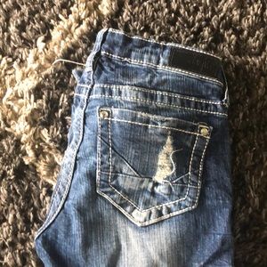 Daytrip (Leo) Jeans